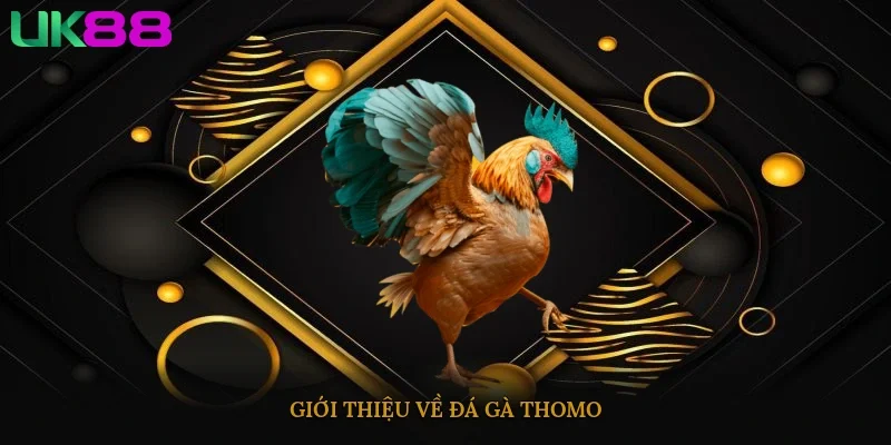 Giới thiệu về Đá Gà Thomo