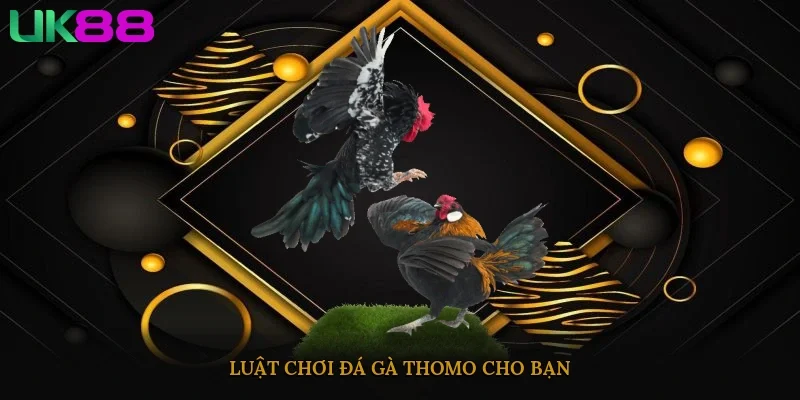 Luật chơi Đá Gà Thomo cho bạn