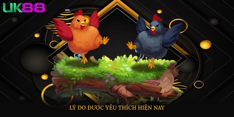 Lý do được yêu thích hiện nay
