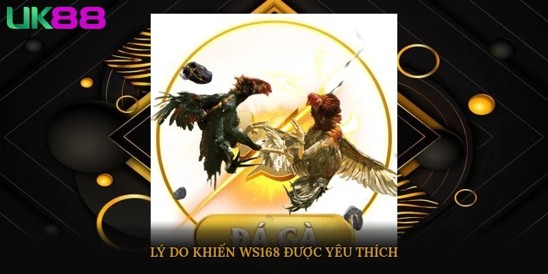 Lý do khiến WS168 được yêu thích