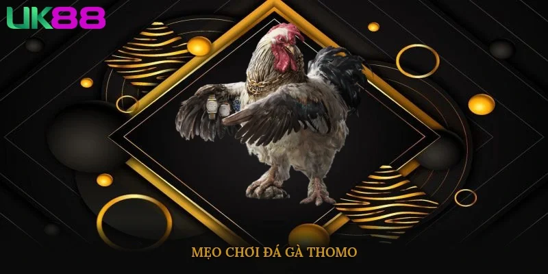 Mẹo chơi Đá Gà Thomo