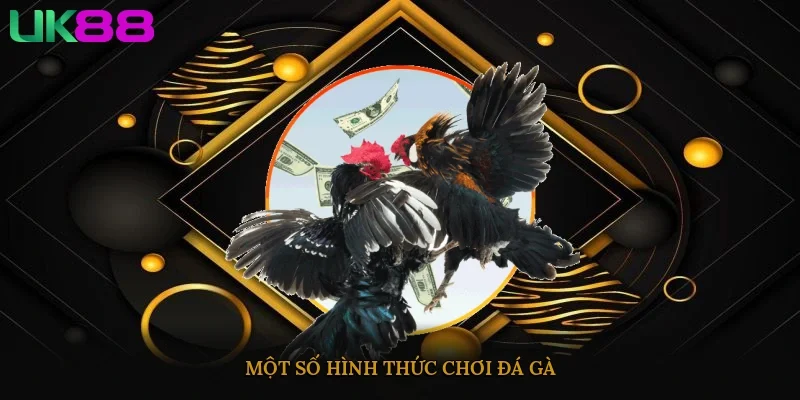 Một số hình thức chơi đá gà