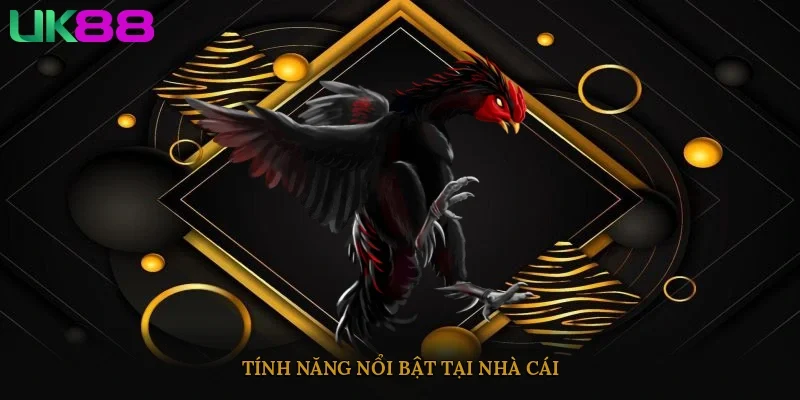 Tính năng nổi bật tại nhà cái
